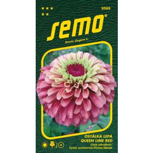 Semo Sticky Queen Lime Red 15s