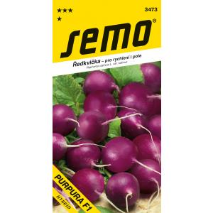 Sēklas Purpura Purpura F1 ātraudzīgais redīsi 1,5 g