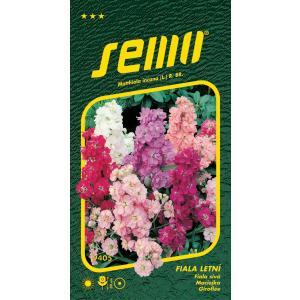 Sēklu Fiala vasaras Mathiola maisījums 0,5g