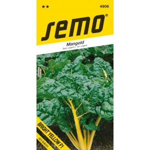Sēklas Mangold Bright Yellow F1 zaļš 3g