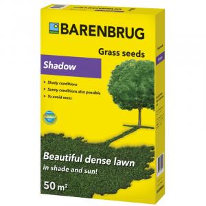 Barenbrug ēna