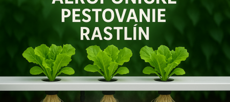 Aeroponiskā audzēšana